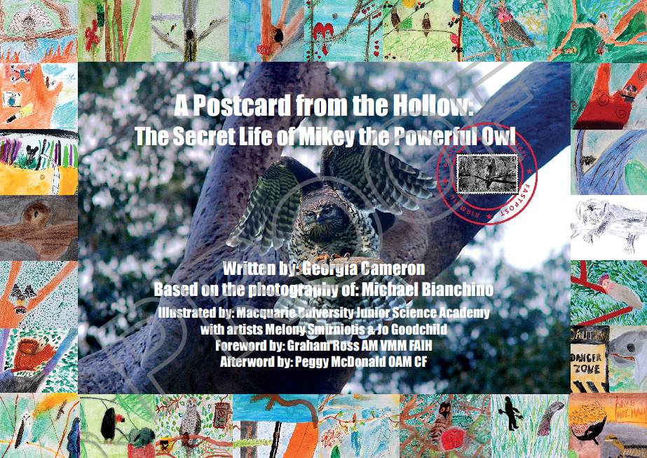 A2 Poster - A Postcard from the Hollow: The Secret Life of Mikey the Powerful Owl