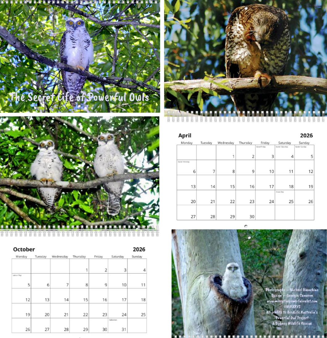 Calendar - The Secret Life of Powerful Owls 2026