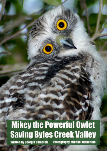SOLD OUT FIRST POSTER - Mikey the Powerful Owlet - Poster (price includes domestic postage & handling)