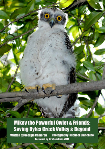 SOLD OUT SECOND POSTER - Mikey the Powerful Owlet - Poster (price includes domestic postage & handling)